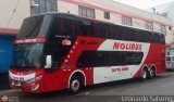 Transportes y Servicios Molibus (Per) 952