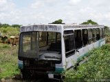 En Chiveras Abandonados Recuperacin  Fanabus Metro 3500 Urbano Iveco 100E18