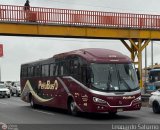 Empresa de Transporte Per Bus S.A. 439