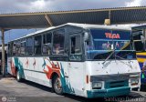 L�nea Tilca - Transporte Inter-Larense C.A. 11 por Santiago Dorante