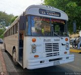 TA - Unin Transporte El Corozo S.A. 10