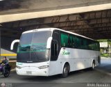 Transporte Bonanza 0016, por Alvin Rondn