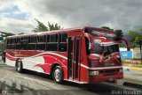 Coop. de Transp. Comunidad de Santa Luca 58, por Alvin Rondn