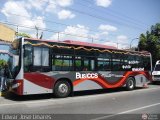 Bus CCS 999