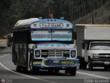 Transporte Colectivo Palo Negro 031, por Pablo Acevedo