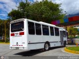 Colectivo Los Andes (Mrida - El Vigia) 31