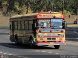 Transporte Colectivo Camag 08