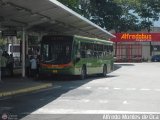 Metrobus Caracas 337