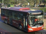 Bus Los Teques 6847