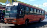 ZU - Colectivos Coraz�n de Jes�s 13