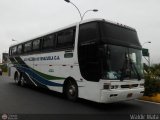 AutoPullman de Venezuela 100