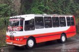 Transporte Privado Joaranny 198