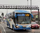 E.T. Maleo VIP (Per) 956