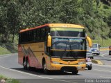 Transporte Unido (VAL - MCY - CCS - SFP) 056