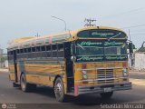 ZU - Colectivos Concepcin 031
