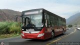 Bus Mrida 25