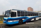 Transporte Unido (VAL - MCY - CCS - SFP) 044, por Joshua Solrzano
