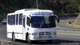 Unin Tchira 075