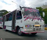 AR - Rosa Mstica de Cagua C.A. 37, por Eduardo Amari
