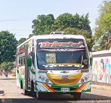 Trans Oriental S.A. 951 Artesanal o Desconocido Sin Nombre Chevrolet NPR Turbo Isuzu