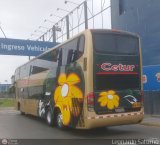 Cetur S.R.L. 951