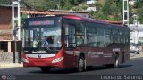 Bus Mrida 39, por Leonardo Saturno