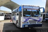 Expresos Delicias 15