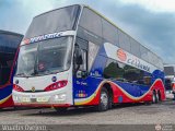 Expresos Occidente 241
