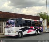 MI - Transporte Uniprados  por Alvin Rondn