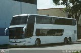 Particular 119