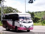 A.C. Lnea San Antonio 42 Servibus de Venezuela Granate II Chevrolet NPR Turbo Isuzu