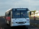TransBolvar 013
