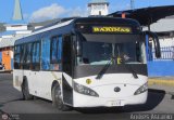Autobuses de Barinas 003 por Andr�s Ascanio