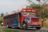 Expresos Gige 19 Blue Bird Convencional No Integral International S-Series Schoolmaster
