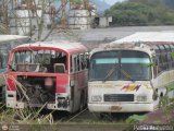 En Chiveras Abandonados Recuperacin 