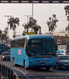 Transporte Flores Hermanos S.R.L 967. Comil Campione Vision 3.65 Mercedes-Benz O-500RSD