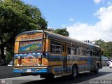 Transporte Privado Joaranny 184