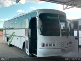 Expresos Bolivarianos 44 por M�guel Pino