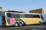 Transporte Flores Hermanos S.R.L (Per) 950