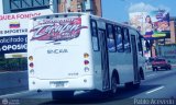 Coop. Transporte Menca de Leoni 093
