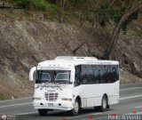 A.C. de Transporte Nmero Uno R.L. 666, por Pablo Acevedo