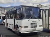Coop. Transporte Menca de Leoni 075