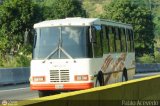 A.C. Don Augusto Malave Villalba 205