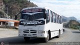 Colectivo Los Andes (Mrida - El Vigia) 42