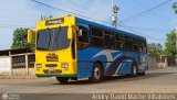 ZU - Colectivos Concepcin 039