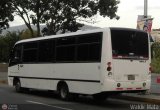 Sin identificacin o Desconocido 987 Busscar Colombia Masster Agrale MA 8.5