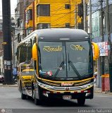 Transporte Flores Hermanos S.R.L (Per) 245