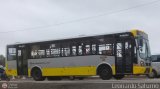 Per Bus Internacional - Corredor Amarillo 2021