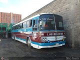 Transporte Las Delicias C.A. 44