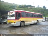 Particular KG-037 Marcopolo Allegro GV Volvo B58